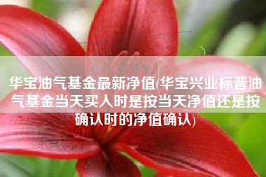 华宝油气基金最新净值(华宝兴业标普油气基金当天买入时是按当天净值还是按确认时的净值确认)