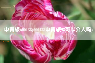 中青旅600138(600138中青旅98可以介入吗)