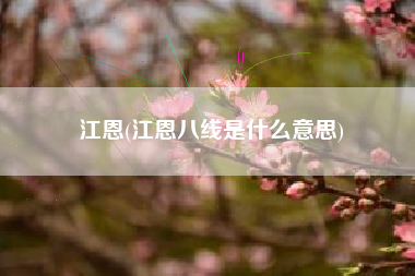 江恩(江恩八线是什么意思)