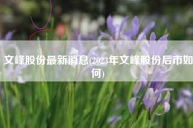 文峰股份最新消息(2023年文峰股份后市如何)