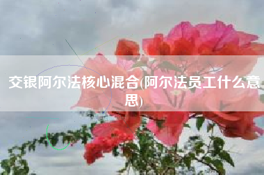 交银阿尔法核心混合(阿尔法员工什么意思)