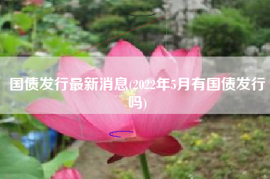 国债发行最新消息(2022年5月有国债发行吗)