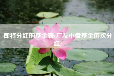 即将分红的基金表(广发小盘基金历次分红)