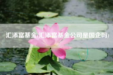 汇添富基金(汇添富基金公司是国企吗)
