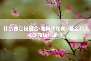 什么是定投基金?如何买和卖?(基金买入和定投区别是什)