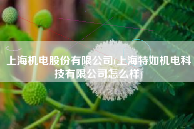 上海机电股份有限公司(上海特如机电科技有限公司怎么样)