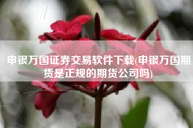 申银万国证券交易软件下载(申银万国期货是正规的期货公司吗)