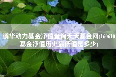 鹏华动力基金净值查询天天基金网(160610基金净值历史最低值是多少)