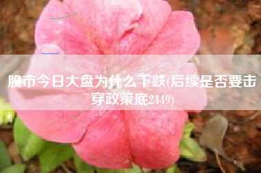 股市今日大盘为什么下跌(后续是否要击穿政策底2449)