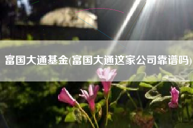 富国大通基金(富国大通这家公司靠谱吗)