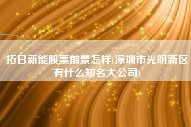 拓日新能股票前景怎样(深圳市光明新区有什么知名大公司)