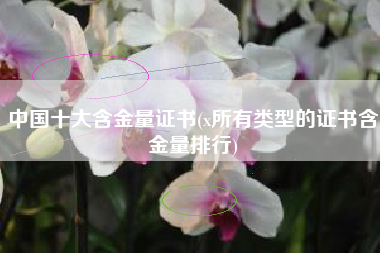 中国十大含金量证书(x所有类型的证书含金量排行)