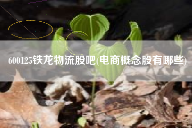 600125铁龙物流股吧(电商概念股有哪些)