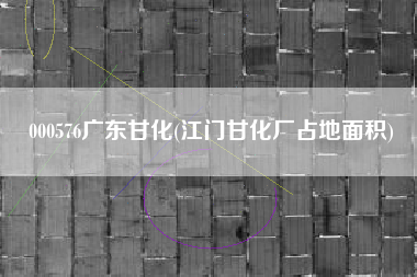 000576广东甘化(江门甘化厂占地面积)