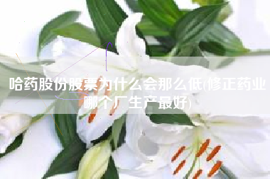 详细阅读:哈药股份股票为什么会那么低(修正药业哪个厂生产最好) 哈药股份股票为什么会那么低(修正药业哪个厂生产最好)