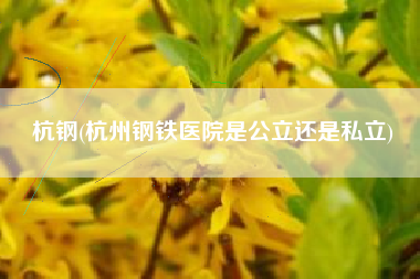 杭钢(杭州钢铁医院是公立还是私立)