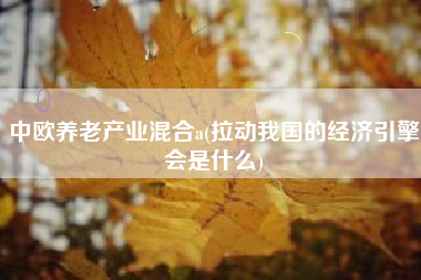 中欧养老产业混合a(拉动我国的经济引擎会是什么)