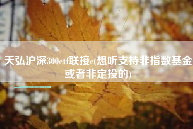 天弘沪深300etf联接c(想听支持非指数基金或者非定投的)