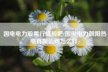 国电电力股票行情股吧(国电电力朝阳热电有限公司怎么样)