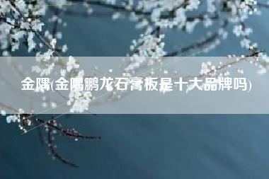 金隅(金隅鹏龙石膏板是十大品牌吗)