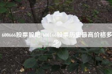 600666股票股吧(600166股票历史最高价格多少)