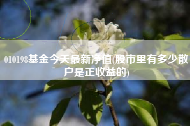 010198基金今天最新净值(股市里有多少散户是正收益的)