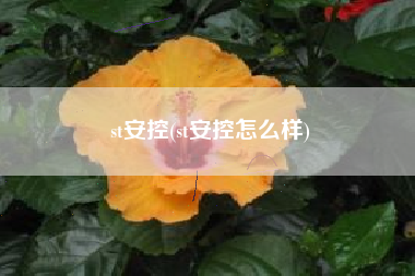 st安控(st安控怎么样)