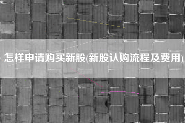 怎样申请购买新股(新股认购流程及费用)