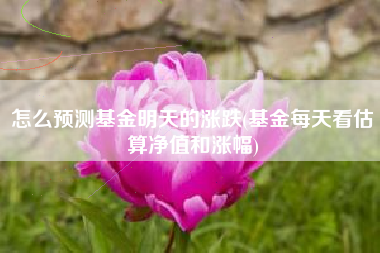 怎么预测基金明天的涨跌(基金每天看估算净值和涨幅)