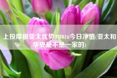 上投摩根亚太优势377016今日净值(亚太和华安是不是一家的)