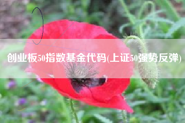 创业板50指数基金代码(上证50强势反弹)