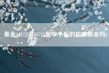 基金161725(161725是中小板的指数基金吗)