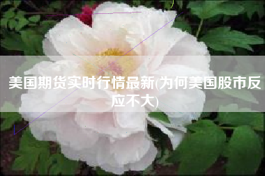 美国期货实时行情最新(为何美国股市反应不大)