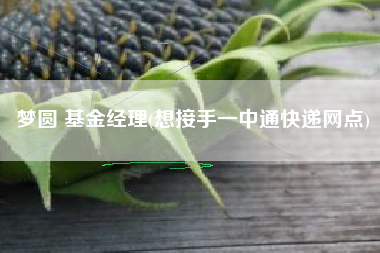 梦圆 基金经理(想接手一中通快递网点)
