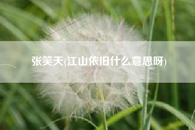 张笑天(江山依旧什么意思呀)