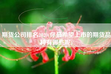 期货公司排名2020(你最希望上市的期货品种有哪些呢)