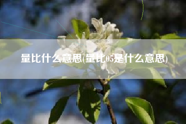 量比什么意思(量比05是什么意思)