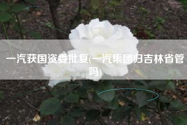 一汽获国资委批复(一汽集团归吉林省管吗)