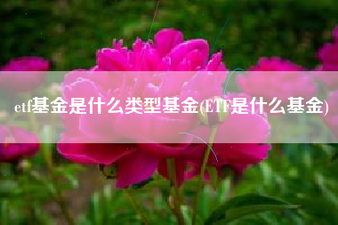 etf基金是什么类型基金(ETF是什么基金)