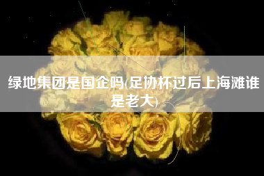绿地集团是国企吗(足协杯过后上海滩谁是老大)