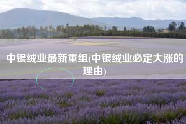 详细阅读:中银绒业最新重组(中银绒业必定大涨的理由) 中银绒业最新重组(中银绒业必定大涨的理由)