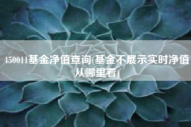 450011基金净值查询(基金不展示实时净值从哪里看)