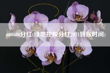 详细阅读:600606分红(绿地控股分红2021到账时间) 600606分红(绿地控股分红2021到账时间)