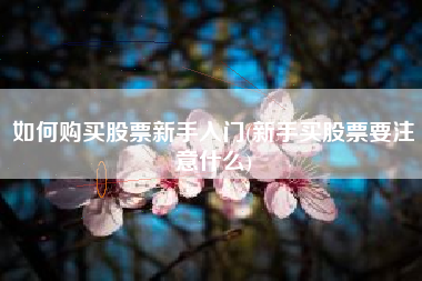 如何购买股票新手入门(新手买股票要注意什么)