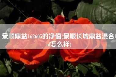 景顺鼎益162605的净值(景顺长城鼎益混合lof怎么样)
