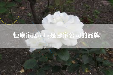 恒康家居(mlay是哪家公司的品牌)