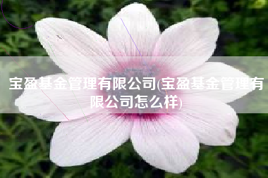 宝盈基金管理有限公司(宝盈基金管理有限公司怎么样)
