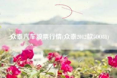 众泰汽车股票行情(众泰2012款5OO81)