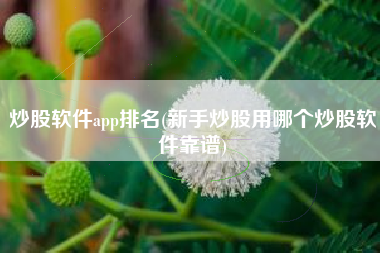 炒股软件app排名(新手炒股用哪个炒股软件靠谱)