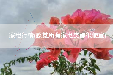 家电行情(感觉所有家电类都很便宜)